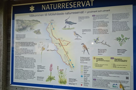 Naturreservat Möllehässle