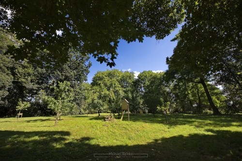 Streuobstwiese, Hofgarten, Garten, Wiese, Obst, Obstbaum