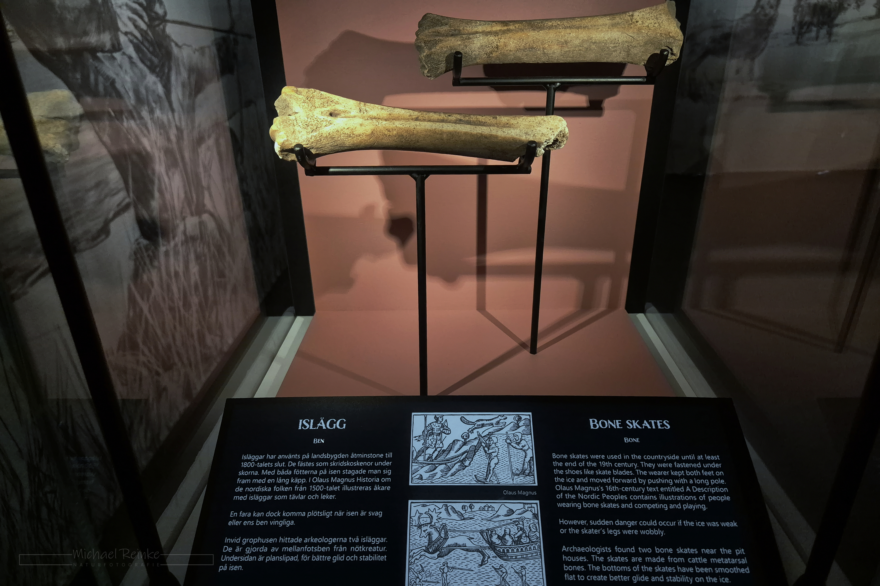 Ausstellungsvitrine im Trelleburg-Museum