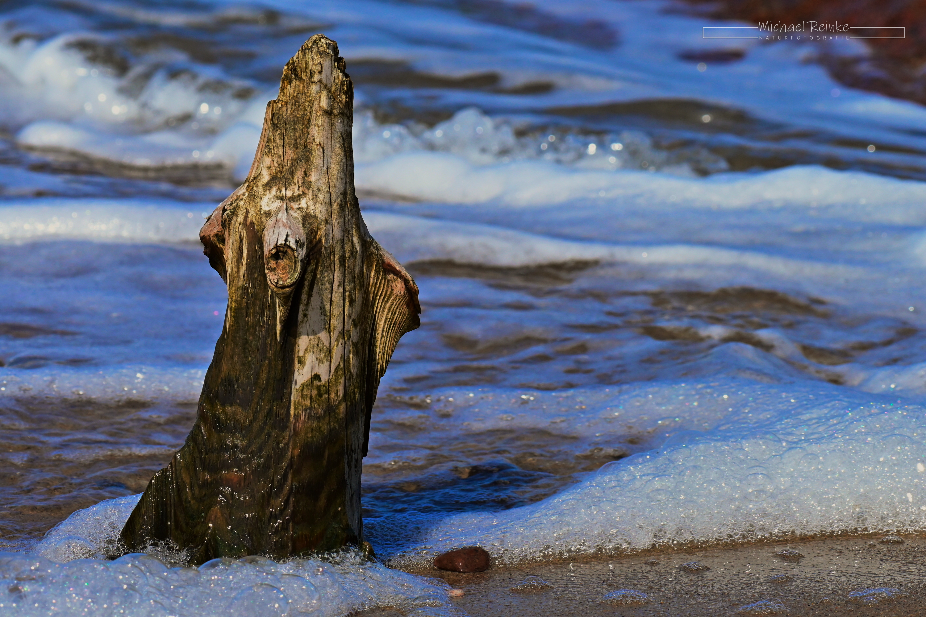 verwitterter Buhnenpfahl, Ostsee